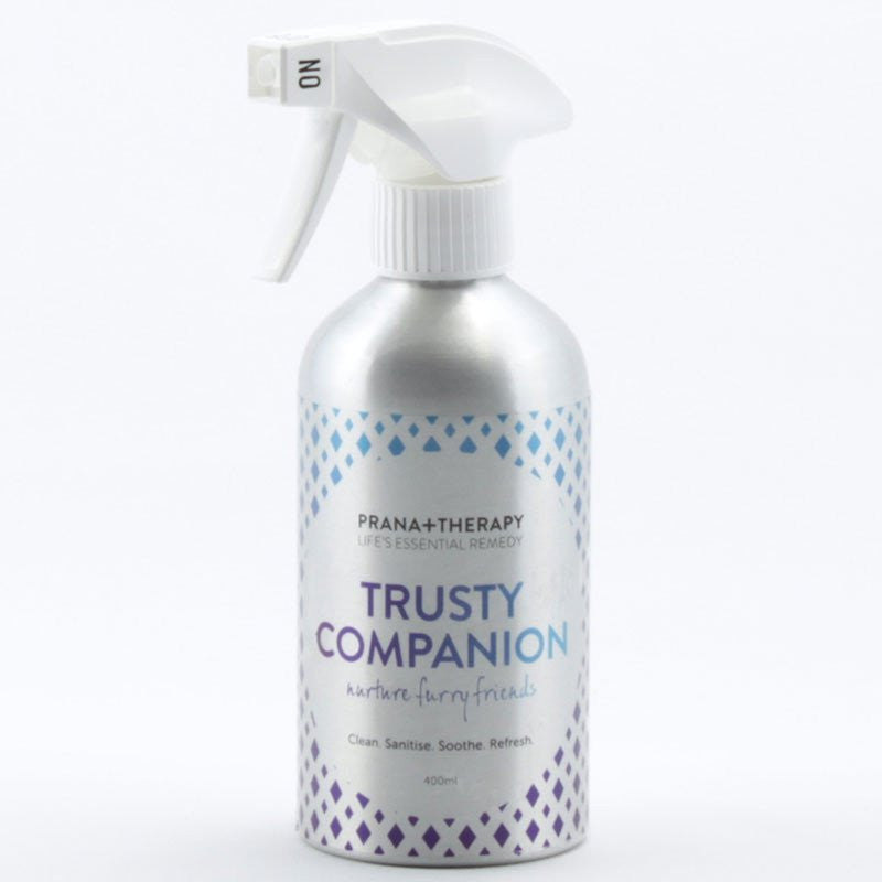 Trusty Companion 400 ml